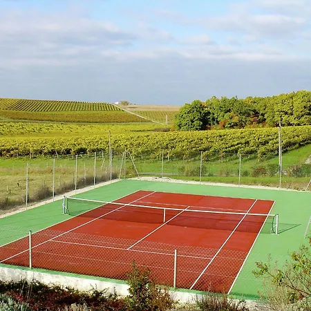 Luxury With Terrace Sauna Tennis Pool * Saint-Preuil